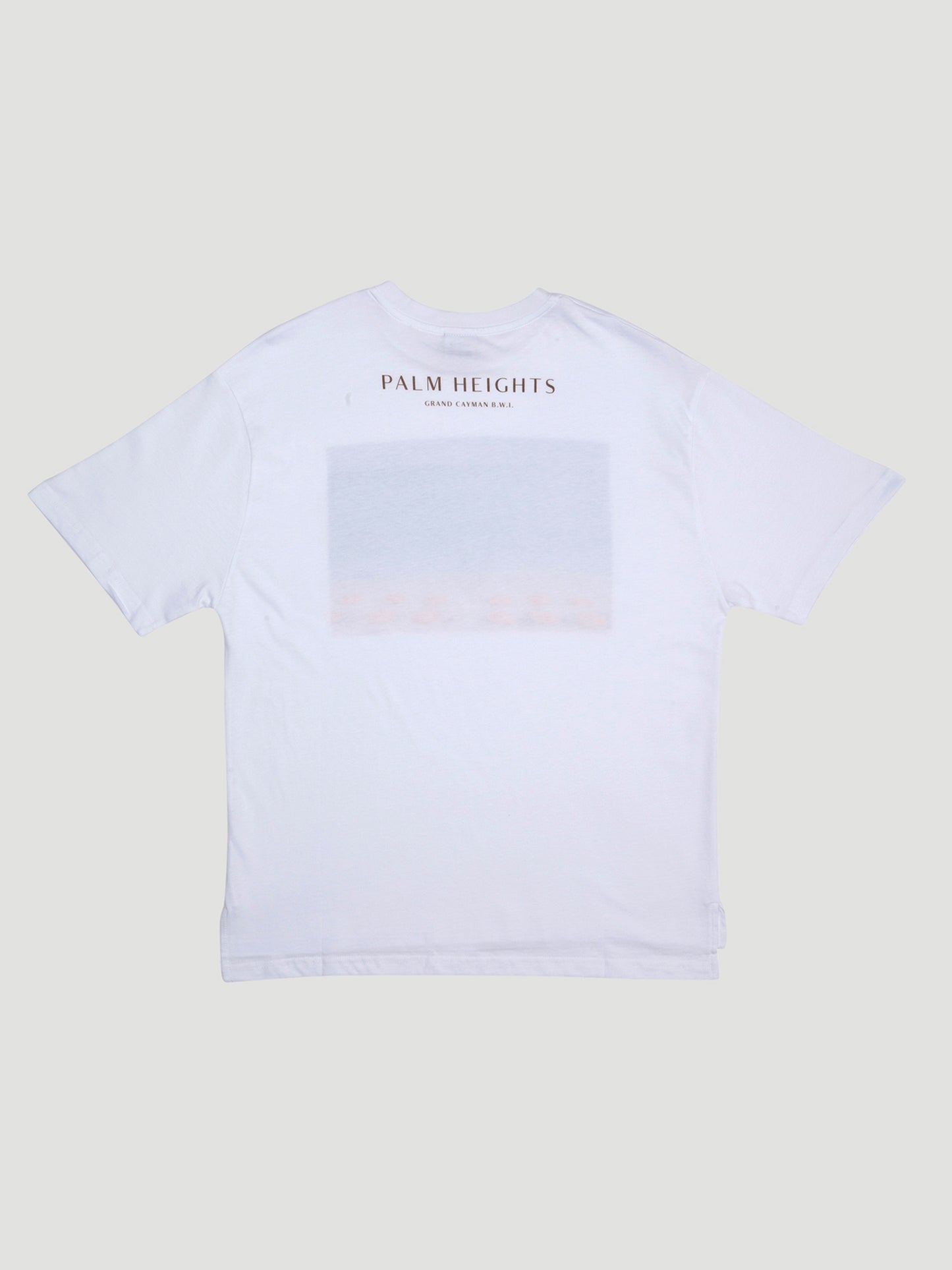 Palm Heights Signature Beach Print T-shirt