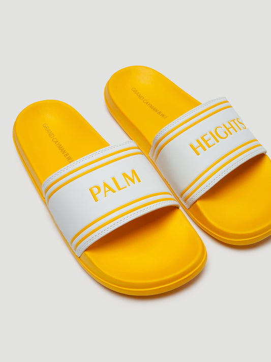 Palm Heights Signature Beach Slides